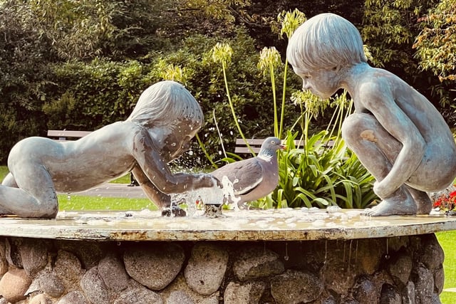 Playing with the pigeon in The Valley Gardens, by Ann Morris