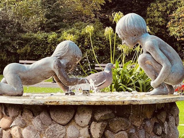 Playing with the pigeon in The Valley Gardens, by Ann Morris