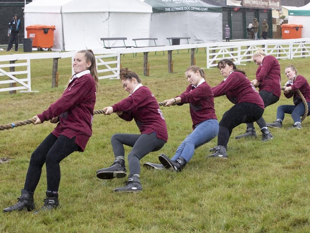 Tadcaster and Wetherby Young Farmers took on Felliscliffe Young Farmers in the Young Farmers Tug-of-War competition in the cattle ring