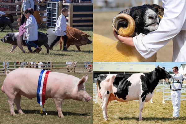 We take a look at 15 brilliant photos from the third day of the Great Yorkshire Show 2025 in Harrogate