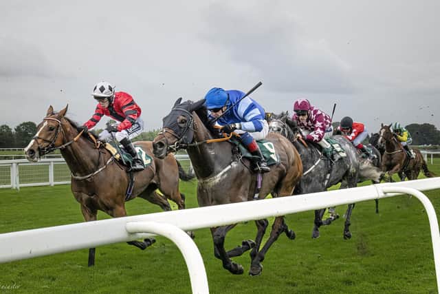 Ripon Racecourse on the final day of the season. Photo by Nick Lancaster