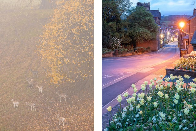 Pictured: Studley Royal Deer Park near Ripon and Pateley Bridge High Street, both shot during the Autumn.