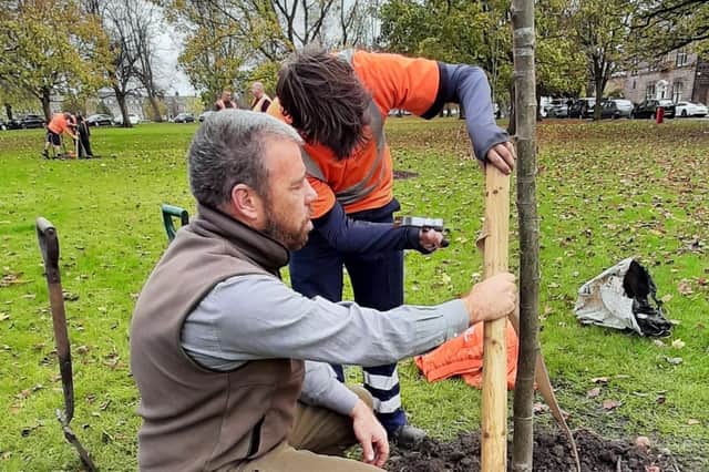 Hundreds of trees are set to be planted across the Harrogate district as part of National Tree Planting Week.