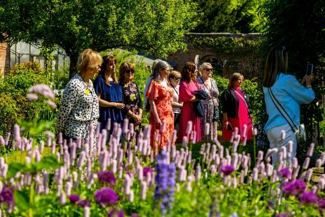 The event is used to celebrate the nursing profession