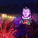 Winter illuminations have returned to RHS Harlow Carr following last year's success and are designed to get Harrogate residents into the festive spirit.