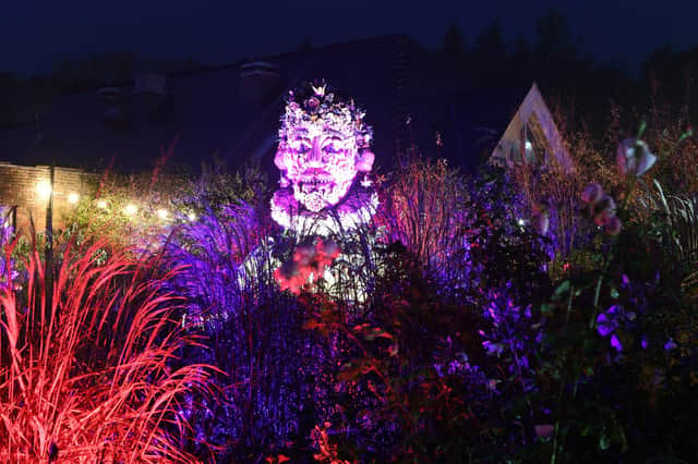 Winter illuminations have returned to RHS Harlow Carr following last year's success and are designed to get Harrogate residents into the festive spirit.