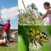 Ripon and Nidderdale event round-up for children this summer with free activities not to be missed by the whole family.