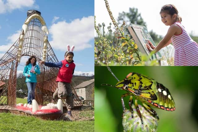 Ripon and Nidderdale event round-up for children this summer with free activities not to be missed by the whole family.