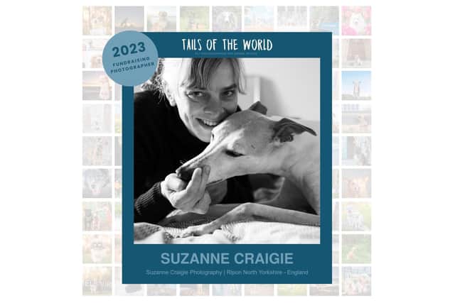 Suzanne Craigie photography sessions shooting dog portraits to raise funds for Saving Yorkshire's Dogs