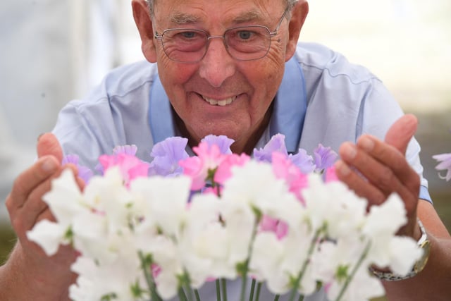 The flower judge Roger Brownbridge  judging the Sweet Pea flowers at the show
