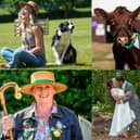The Great Yorkshire Show has been hailed a huge success after 140,000 visitors flocked to Harrogate for the four-day extravaganza to enjoy the very best in farming and agriculture