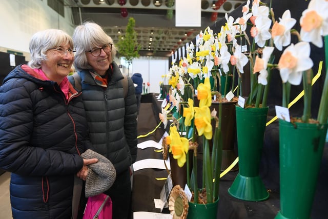 Visitors enjoying the beautiful award-winning daffodils on display at the Great Yorkshire Showground