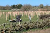 Long Lands Common in Harrogate was established in 2021 after a successful £2500,00 community campaign to purchase 30 acres of open farmland near Nidd Gorge. (Picture contributed)