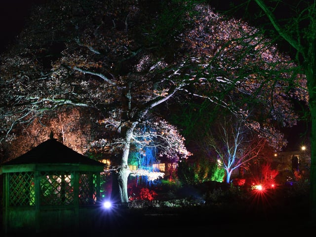 Winter illuminations have returned to RHS Harlow Carr.