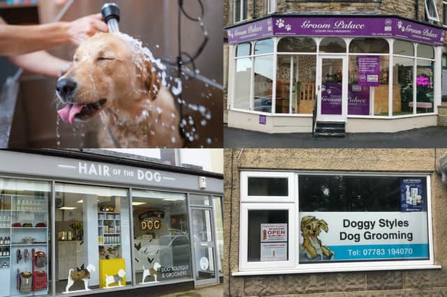 We take a look at 14 of the best dog groomers in the Harrogate district - as chosen by Harrogate Advertiser readers