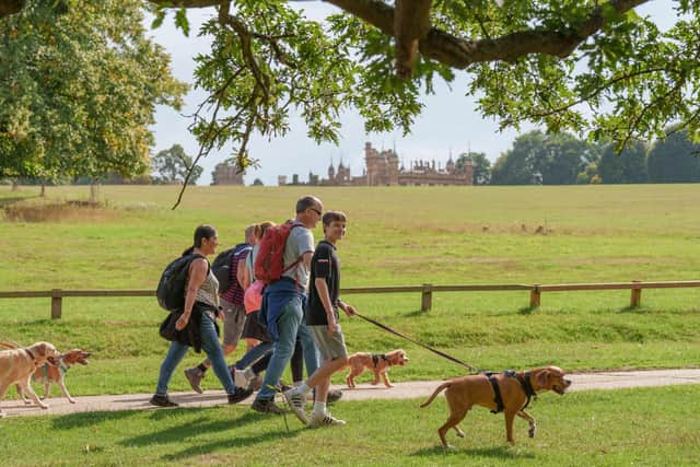 Big Dog Walk, in partnership with Agria