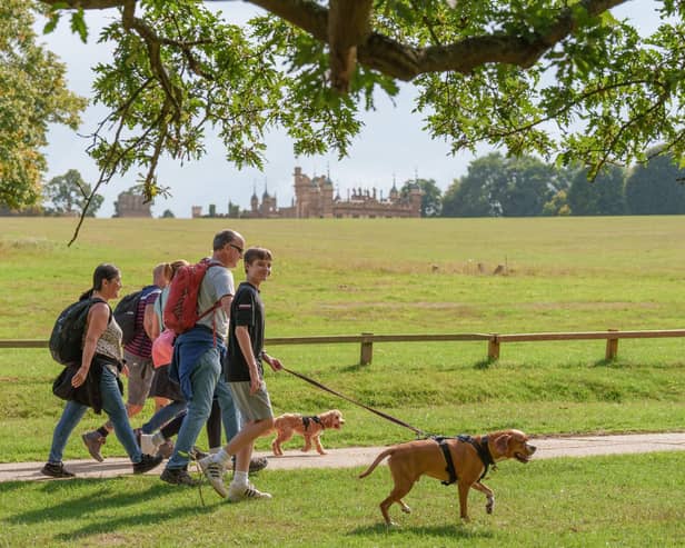 Big Dog Walk, in partnership with Agria