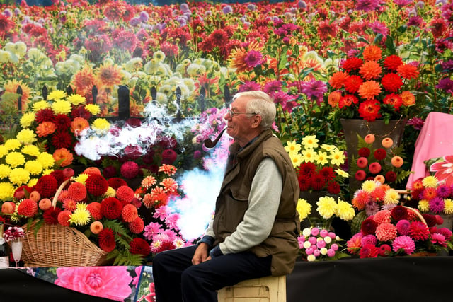 Geoff Gardener the Chairman of the Northern Committee of the National Dahlia Society, takes a break with his pipe, at the Autumn Flower Show, Newby Hall, near Ripon.