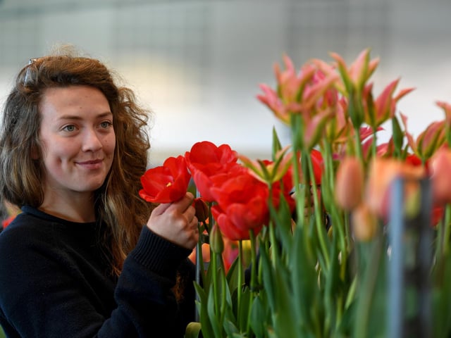 Abbie Fry of Brighter Blooms amongst her beautiful tulips on display at the show