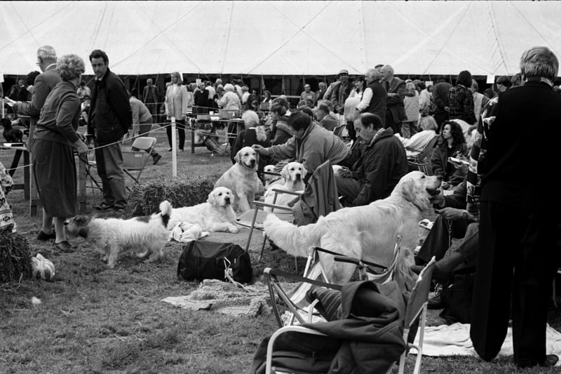 The Dog Show section of Pateley Show back in 1996.