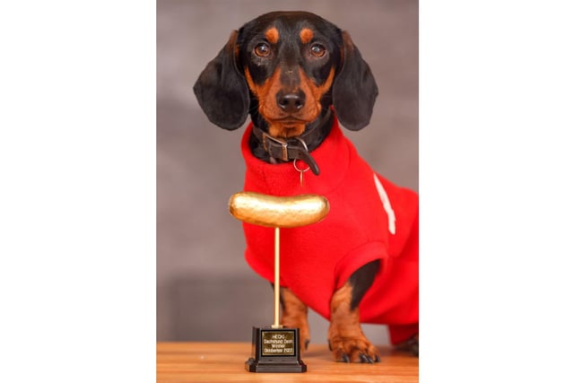 Pictured: The Golden Sausage trophy.