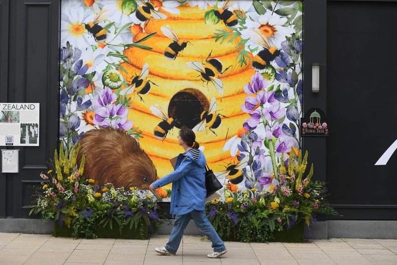 The 'New Zealand' display on Albert Street – celebrating Harrogate being twinned with Wellington and a beehive connection
