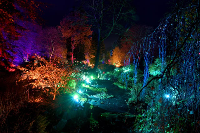 Winter illuminations have returned to RHS Harlow Carr.