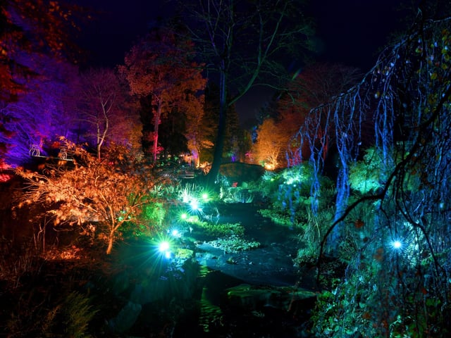 Winter illuminations have returned to RHS Harlow Carr.