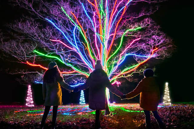Neon tree coming to Christmas At Roundhay Park. Photo by Richard Haughton