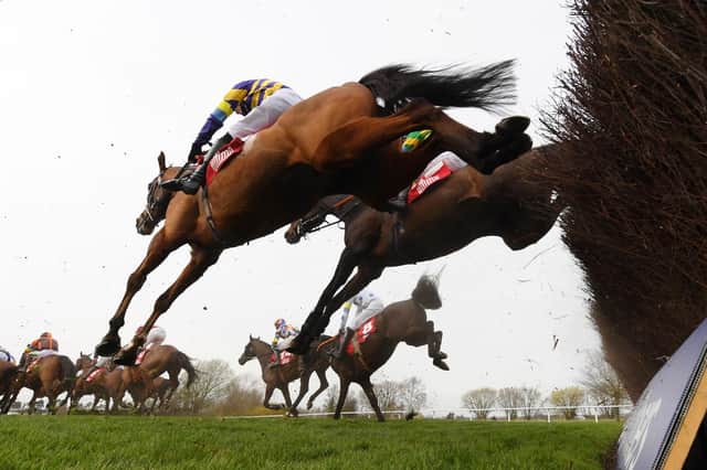 Corach Rambler won the Ultima Chase at the Cheltenham Festival earlier this year. Picture: Mike Hewitt/Getty Images