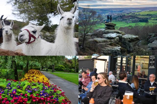We reveal 12 essential things to do in Harrogate according to Tripadvisor - but how many have you ticked off?