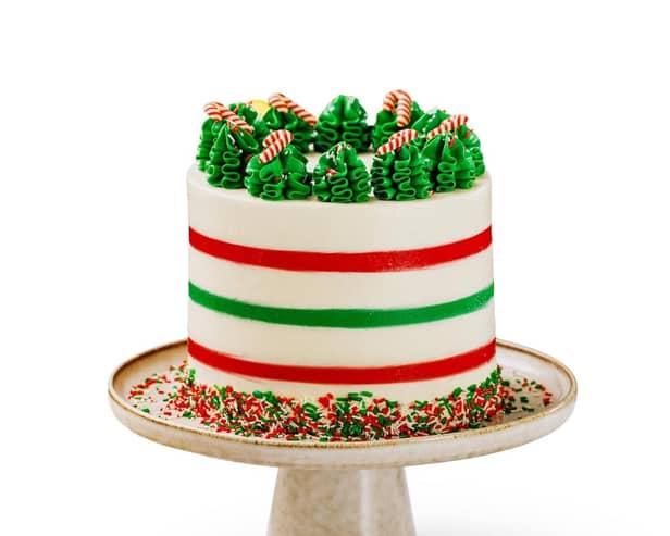 Candy Cane Hot Chocolate Cake.