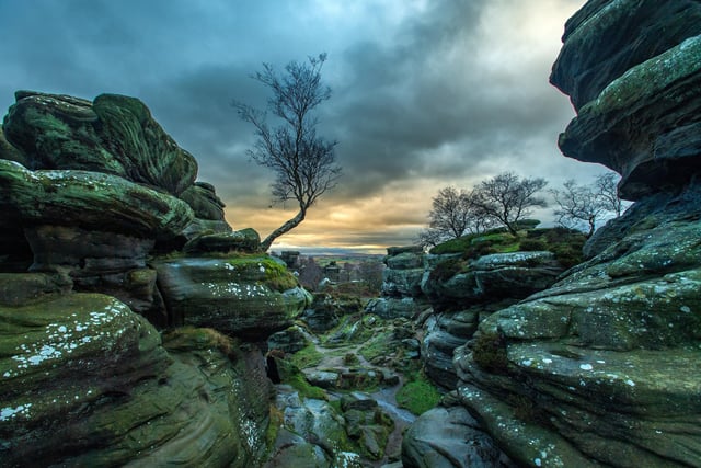 A day out with the kids at Brimham Rocks is never wasted. There are lots of opportunity for children to use up some of the energy they store away. 
Whether you like a gentle stroll and an ice-cream, or prefer a more active approach, both are  possible surrounded by Briham Rocks' unique geology. Climbing opportunities are available for the more adventurous soul.