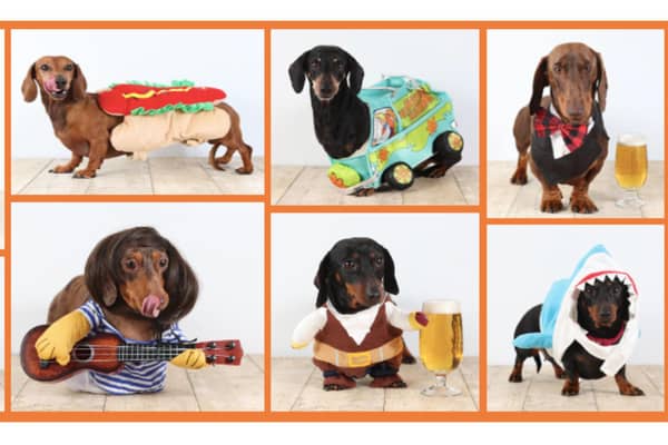 HECK! Oktoberfest 2023 invites North Yorkshire's finest Dachshund's to compete for the 'Golden Sausage'.