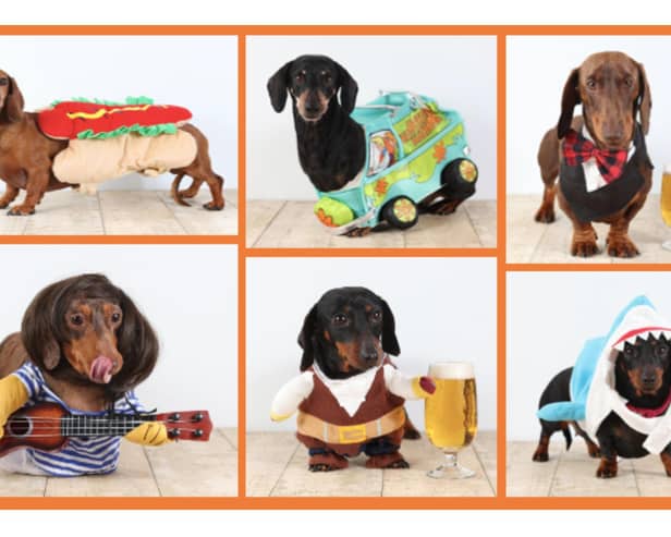 HECK! Oktoberfest 2023 invites North Yorkshire's finest Dachshund's to compete for the 'Golden Sausage'.