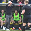 Harrogate Town manager Simon Weaver was unable to hide his anguish after seeing his side concede an early goal during the 2-1 home defeat to Barnet which sealed the club's relegation from League Two. Pictures: Gerard Binks