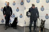 Two North Yorkshire Police dogs – PD Bobby (left) and PD Lynne (right) – have retired from their teams after six years service.