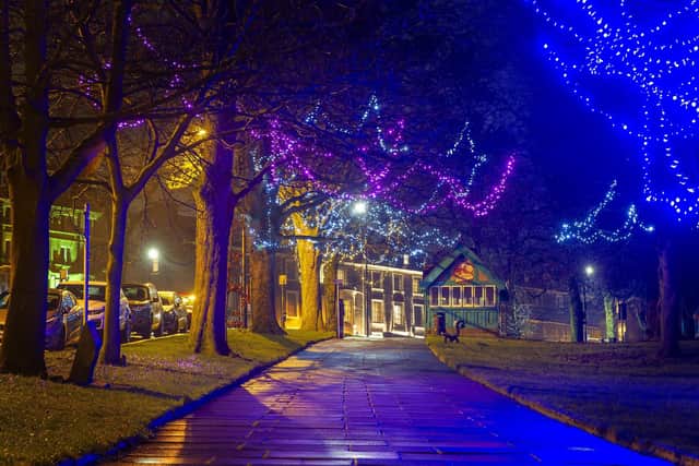 Harrogate's Stray lighting will undergo a major refit, with new energy-efficient LED bulbs wrapped around branches.