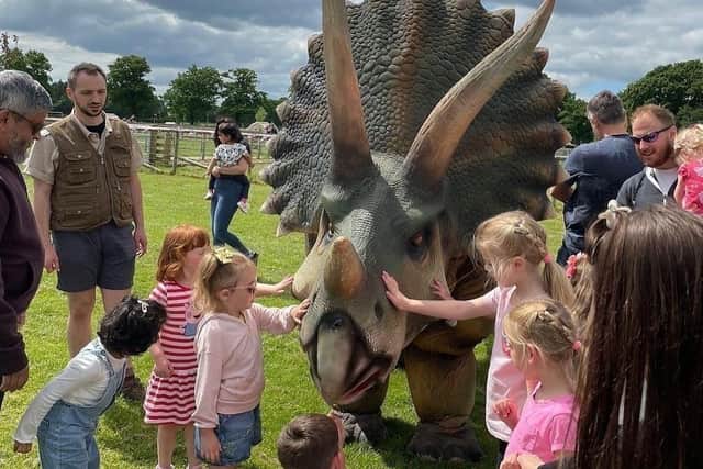 Brighouse Dino Trail starts on Friday August 1