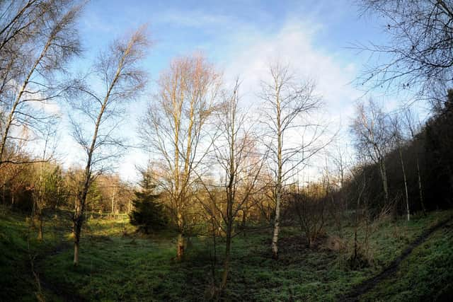 Threat to trees - Rotary Wood on Harlow Hill in Harrogate wax planted by the community 17 years ago and is well-used and well-loved.