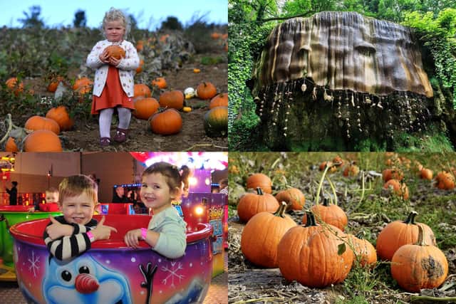 There are plenty of activities taking place across the Harrogate district this October half-term