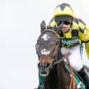 Shishkin could make his eagerly awaited return to the track at Sandown this weekend. Picture: Getty Images