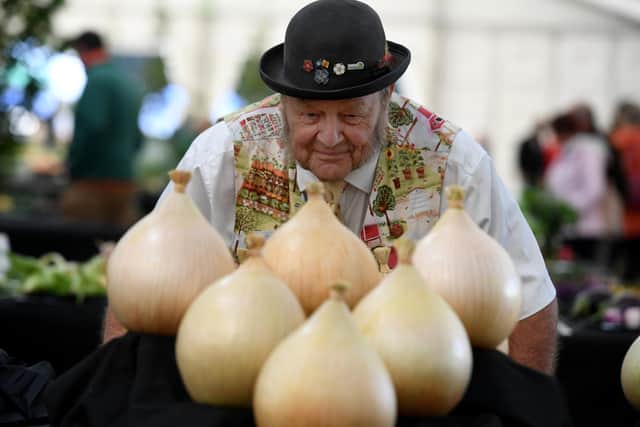 The long-anticipated return of the National Vegetable Society’s National Championships to the show is sure to be a highlight of Harrogate Autumn Flower Show. The photograph shows Phil Gomersall viewing the giant onions last year. (Picture Gerard Binks)