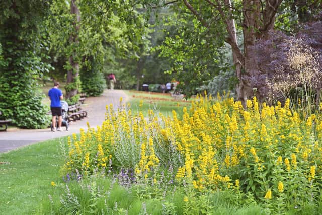The recent heatwave saw temperatures of 30-40 degrees hit the UK.