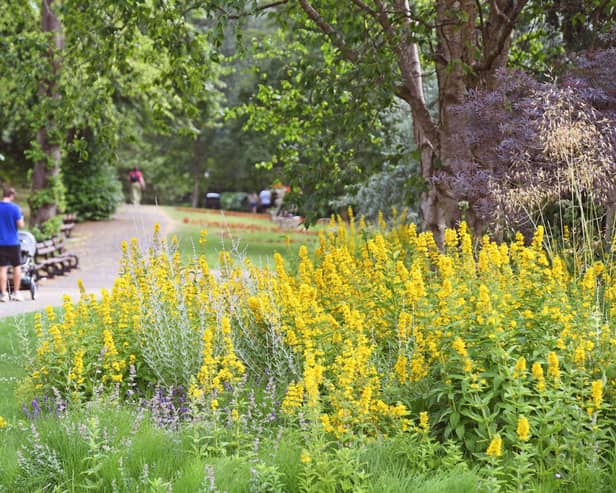 The recent heatwave saw temperatures of 30-40 degrees hit the UK.
