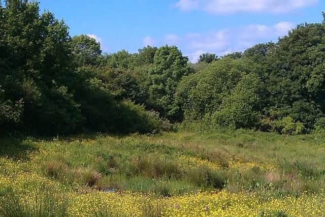 Bilton Conservation Group are concerned for this beautiful little pocket park which is said to have vast wildlife. Picture: Keith Wilkinson