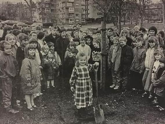 Children from Rossett Acre, St Peter's and Western Primary Schools gathered to plant the tree on the Stray in 1990.