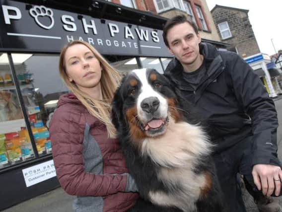 Concerned business owners Michaela Stothard and her brother Ben of Posh Paws with their dog Bronson. Picture: Adrian Murray.