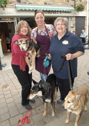 NAWN 1806123AM1 Dog Friendly Shops in Wetherby. Dog owner Andrea Dew with her dogs Frankie (15) and Max(9), Sam Pomfret owner of Pomfrets and dog owner Vicki Lister with her dog Cookie(11).  (1806123AM1)