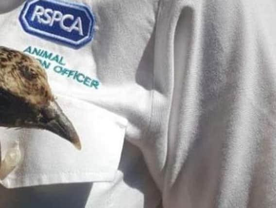 The RSPCA was called out to the driver's home inYork